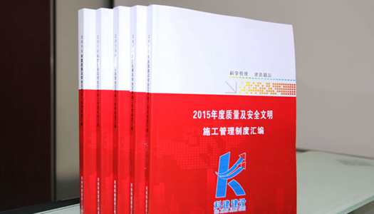 Biyapay-安全支付工具